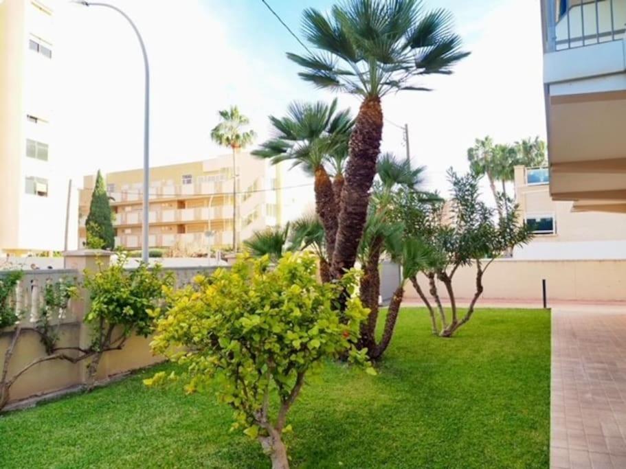 Apartamento Playa Muchavista De 3 Hab Y Piscina El Campello Exteriér fotografie